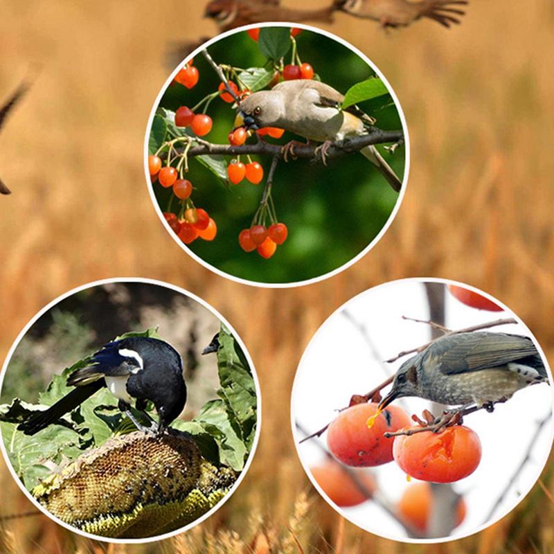 Solar Timer Bird Repeller With - Solar Bird Scarer reseña y precio
