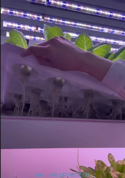 f Greenhouse Agricultural Equi - Farming Agriculture Equipment reseña y precio
