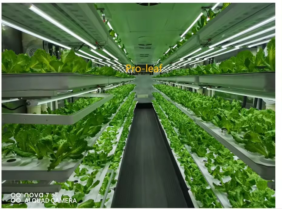 f Greenhouse Agricultural Equi - Farming Agriculture Equipment reseña y precio