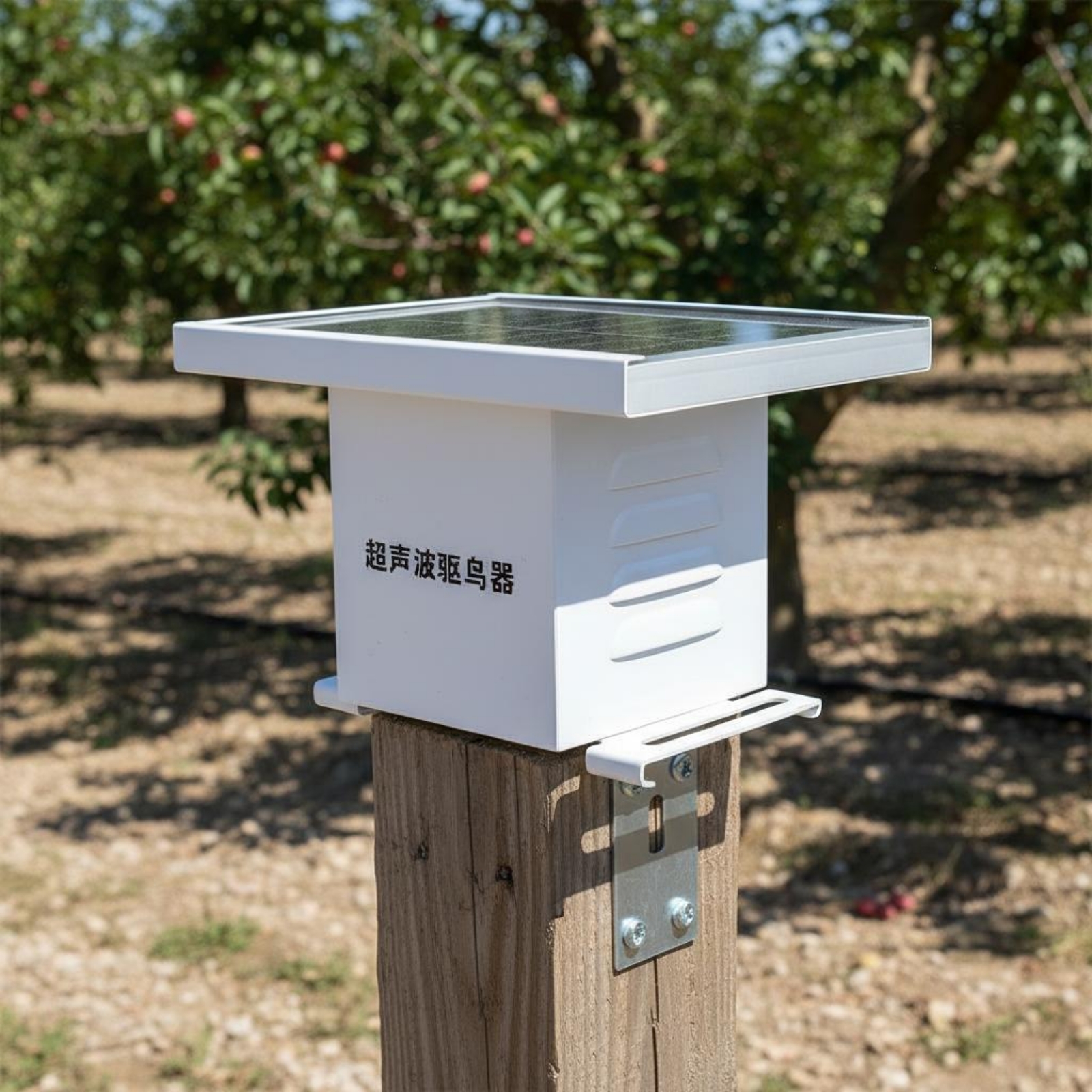 Solar High-Frequency Bird Repe - Solar Bird Scarer reseña y precio