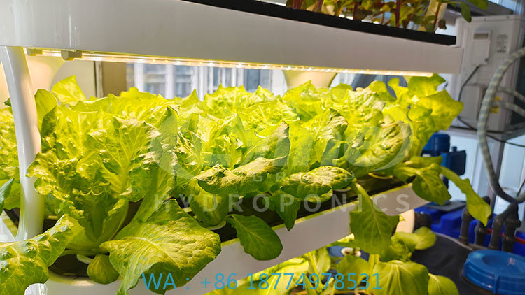 c Agriculture Machine to Growi - Farming Agriculture Equipment reseña y precio