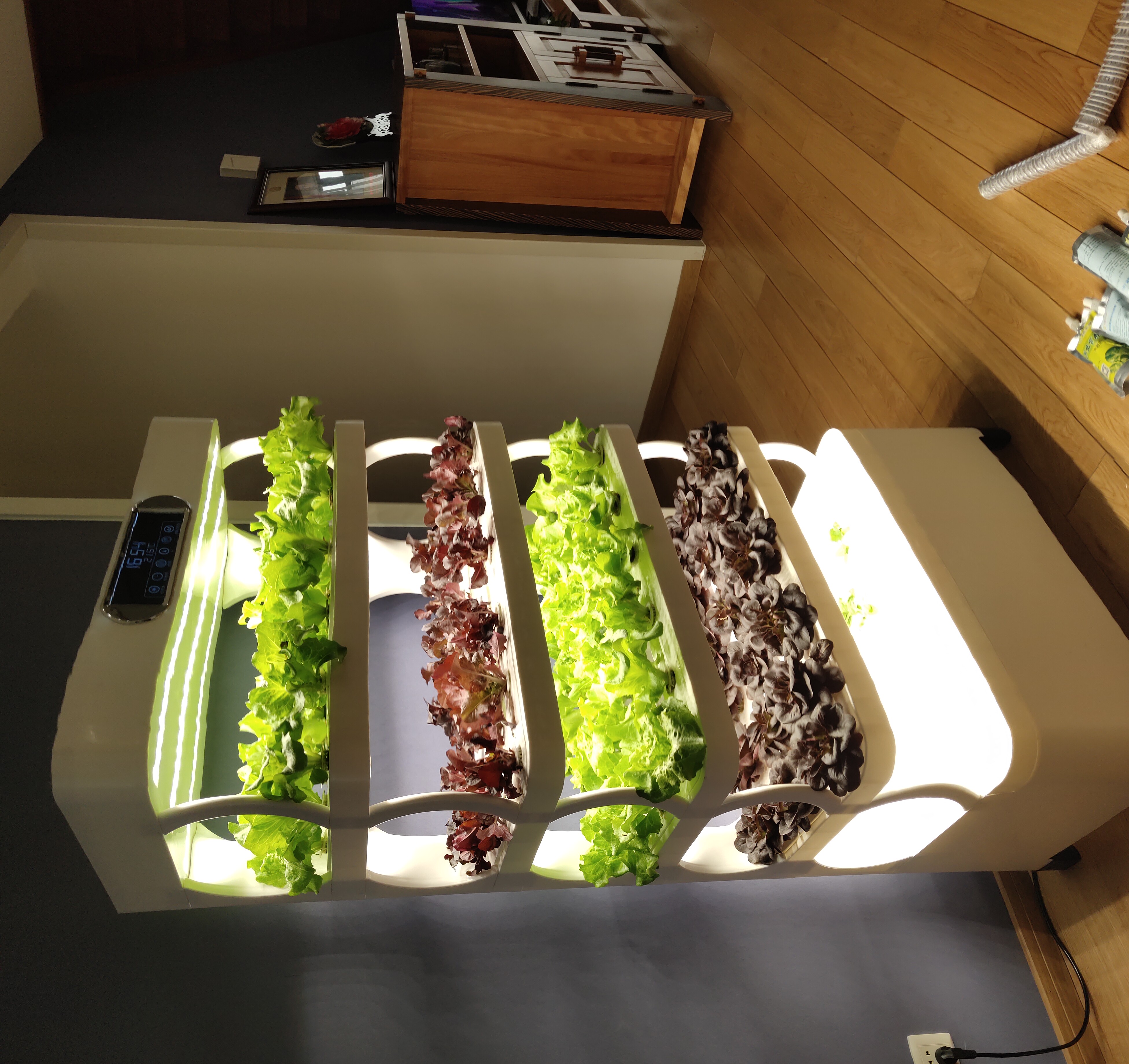 c Agriculture Machine to Growi - Farming Agriculture Equipment reseña y precio